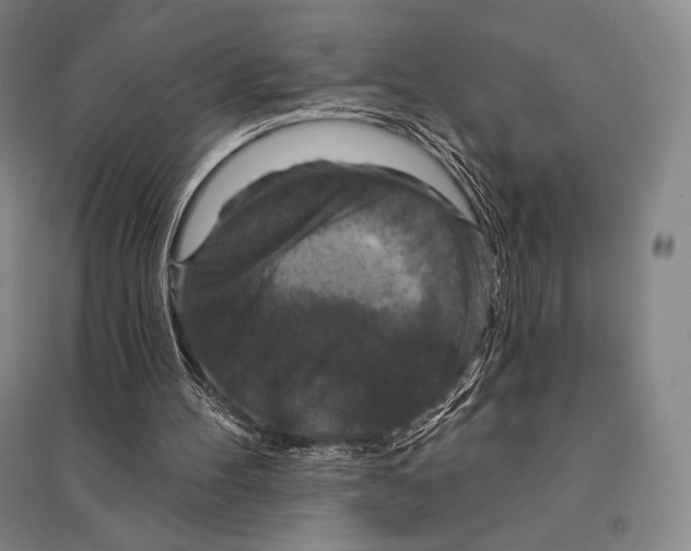 X0000095510100200801111422