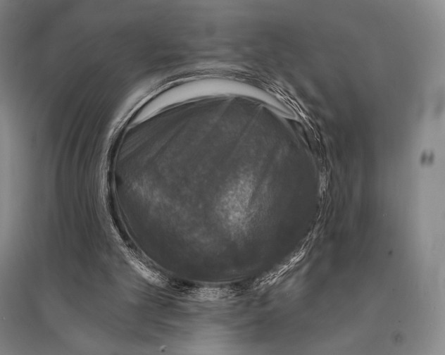 X0000095510101200801111422