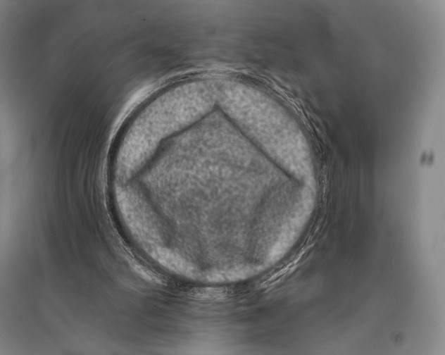 X0000095510102200801111422