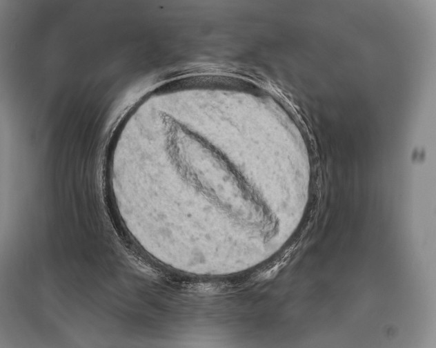 X0000095510103200801111422