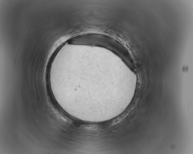 X0000095510104200801111422