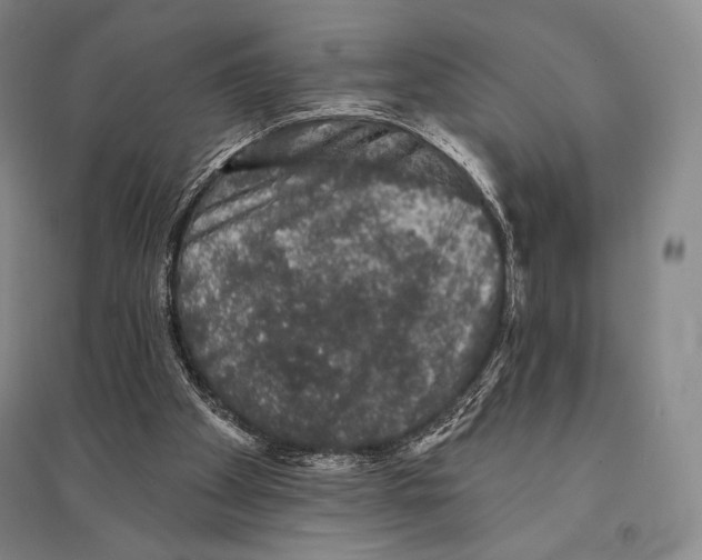 X0000095510105200801111422