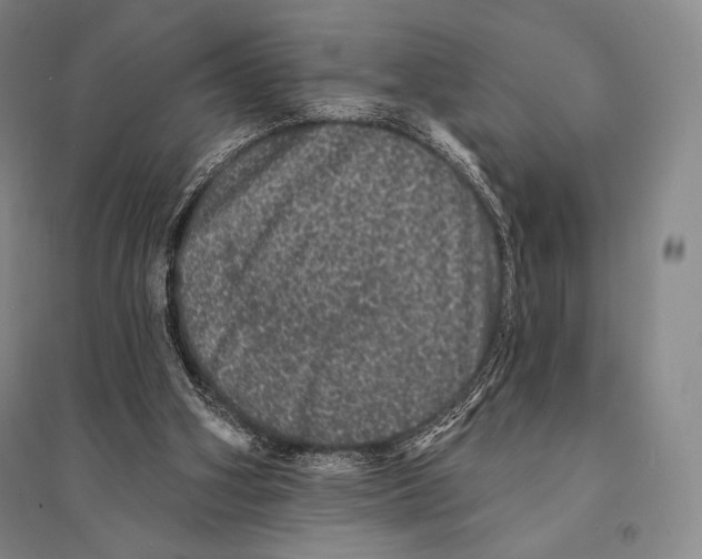 X0000095510106200801111422