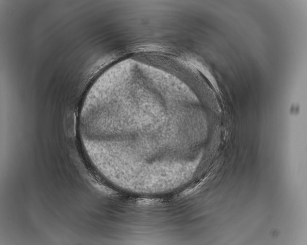 X0000095510109200801111422