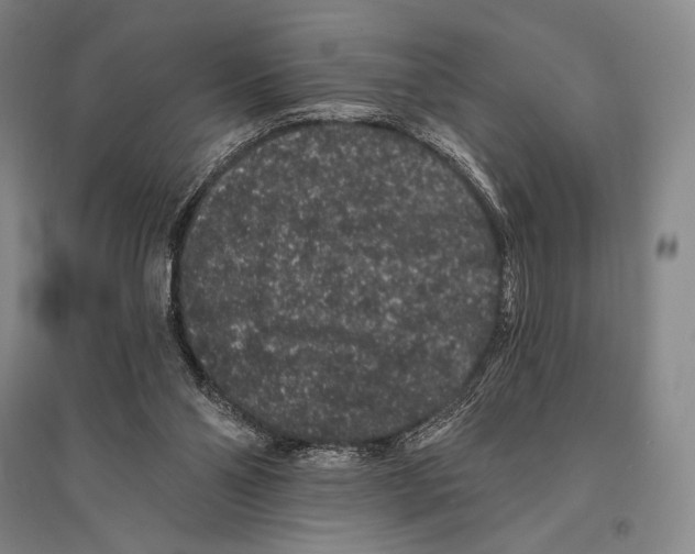 X0000095510110200801111422