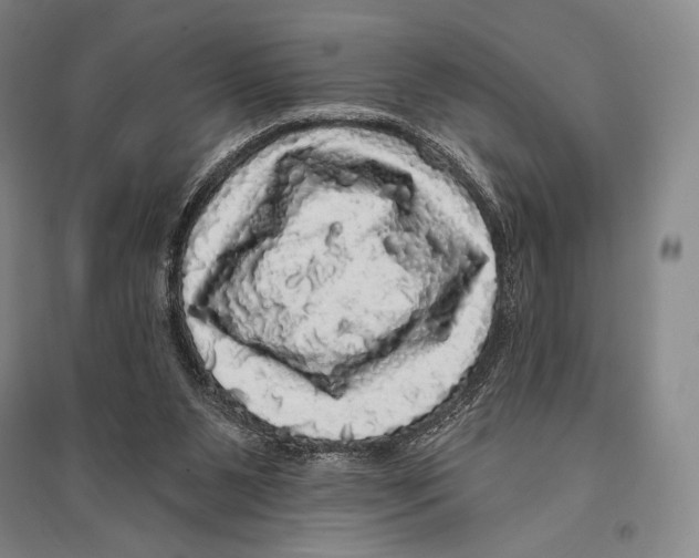 X0000095510111200801111422