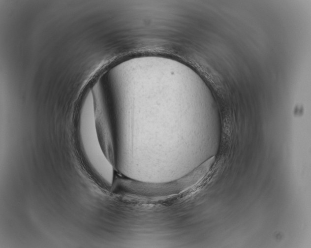 X0000095510112200801111422