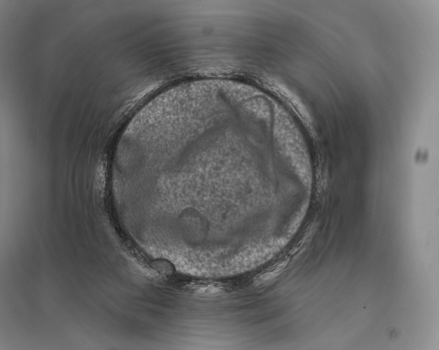 X0000095510113200801111422