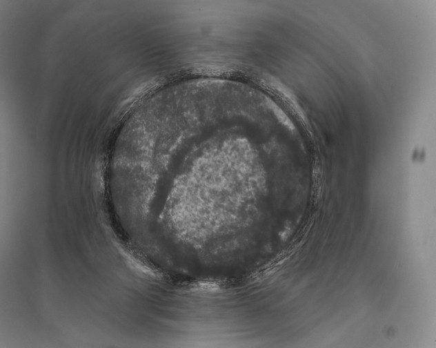 X0000095510114200801111422