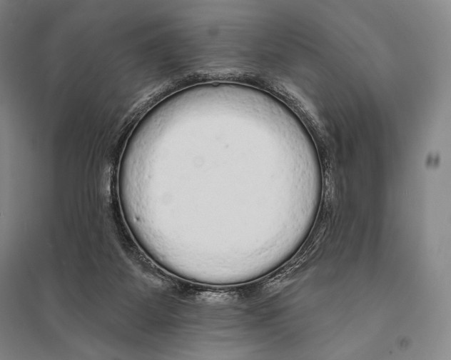 X0000095510115200801111422