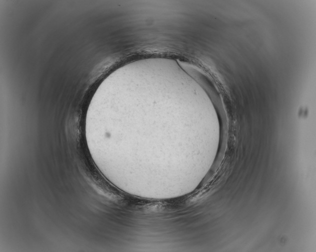X0000095510116200801111422