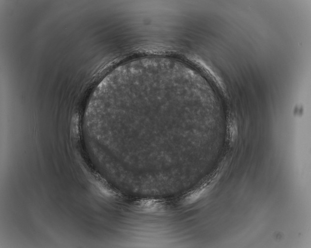 X0000095510117200801111422
