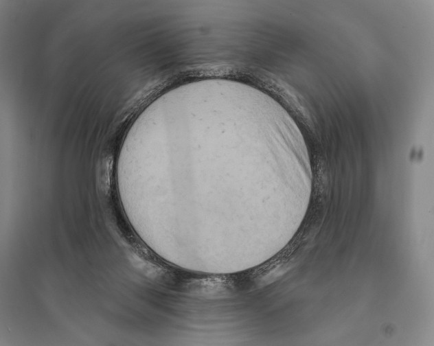 X0000095510118200801111422