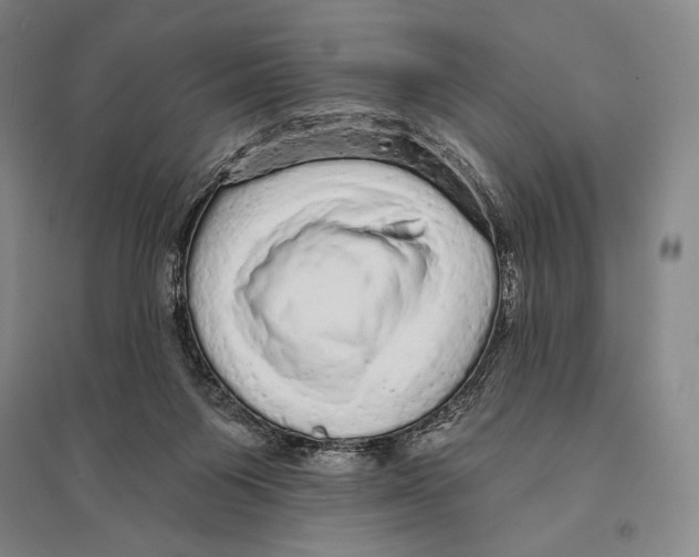 X0000095510119200801111422