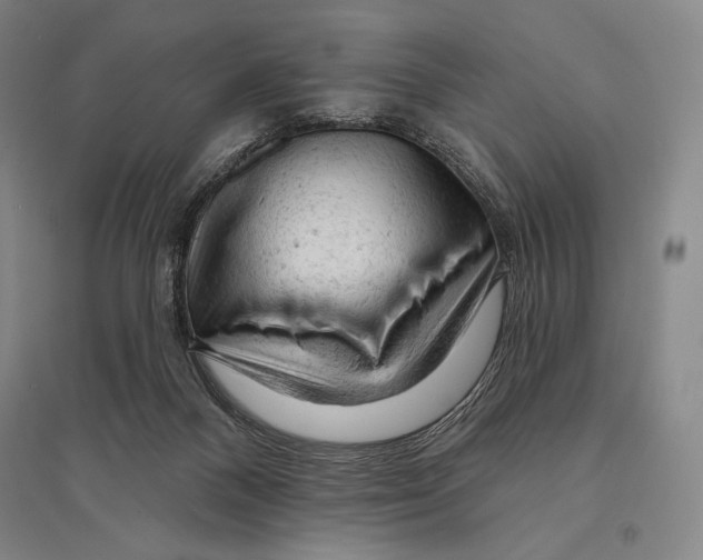 X0000095510120200801111422