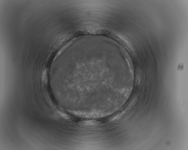 X0000095510121200801111422