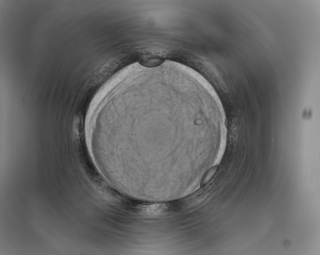 X0000095510122200801111422