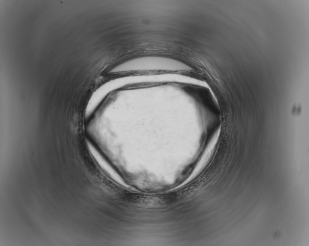 X0000095510123200801111422