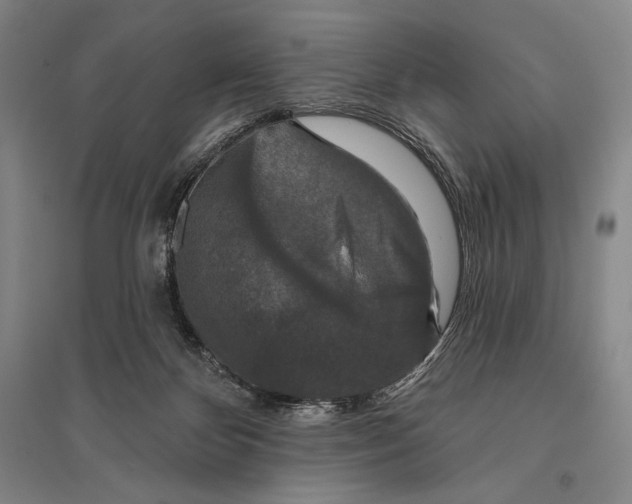 X0000095510124200801111422