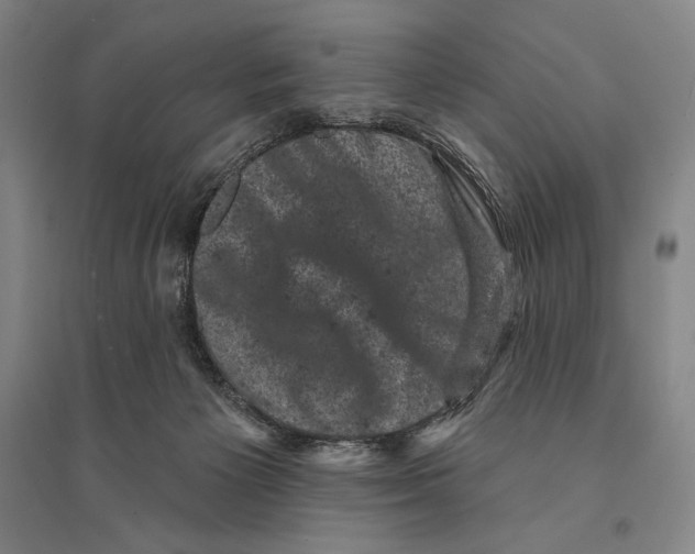 X0000095510125200801111422