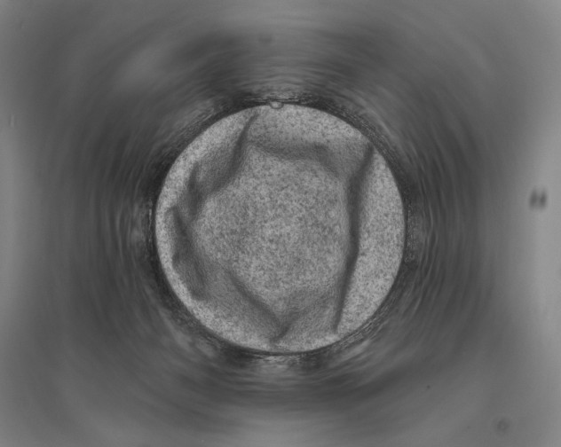 X0000095510126200801111422