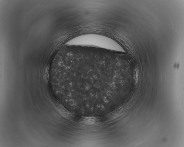 X0000095510127200801111422