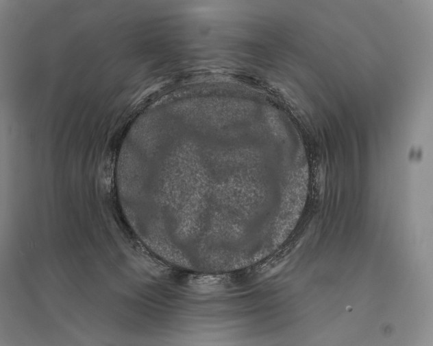 X0000095510129200801111422