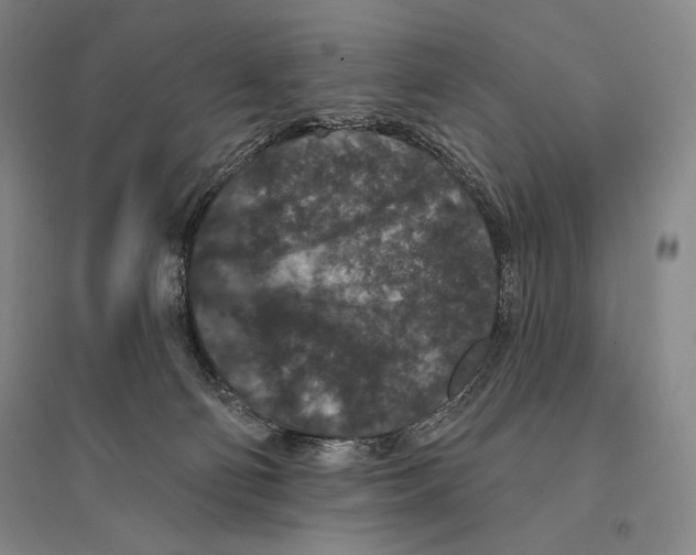 X0000095510130200801111422