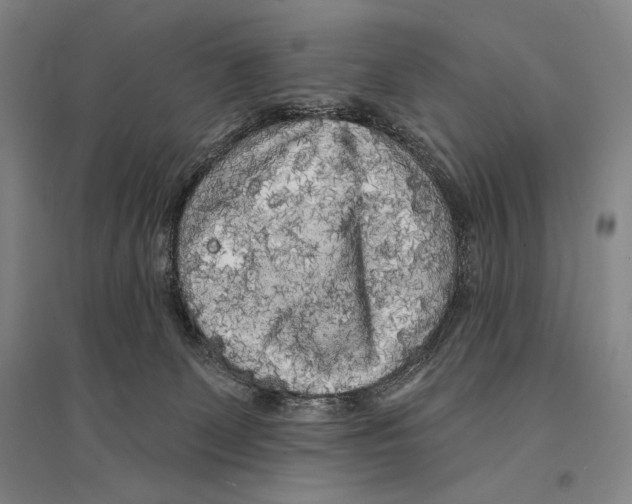 X0000095510131200801111422