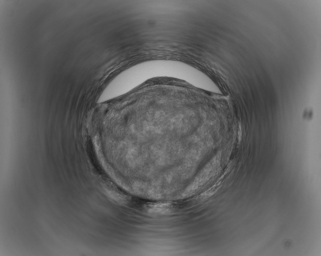 X0000095510132200801111422