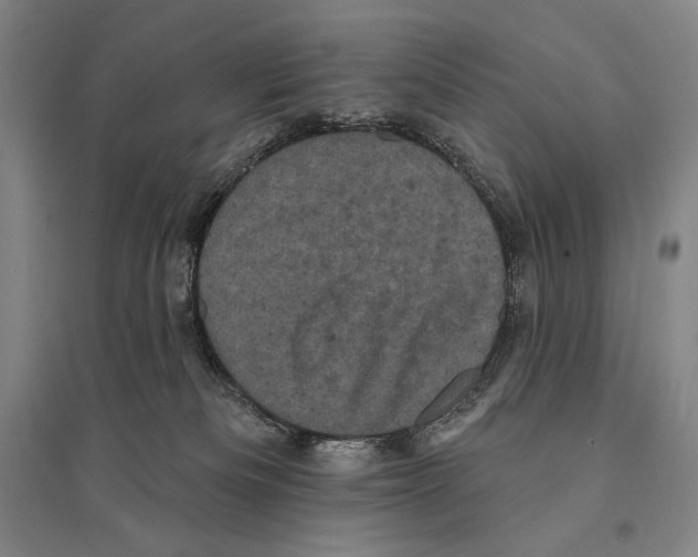 X0000095510133200801111422
