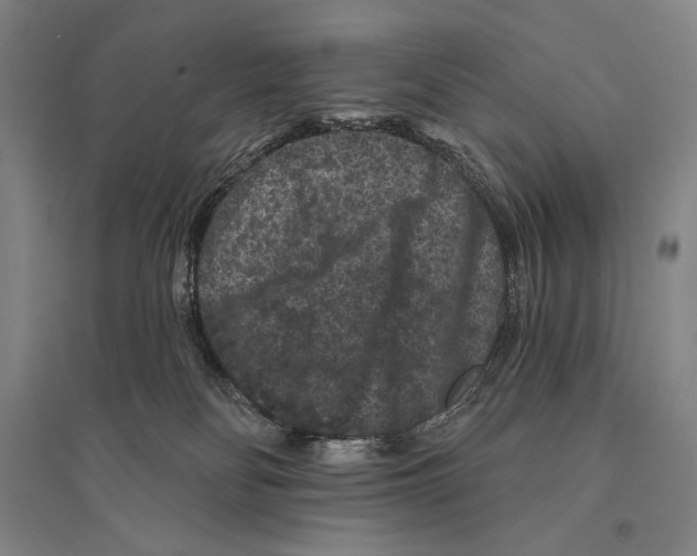X0000095510134200801111422