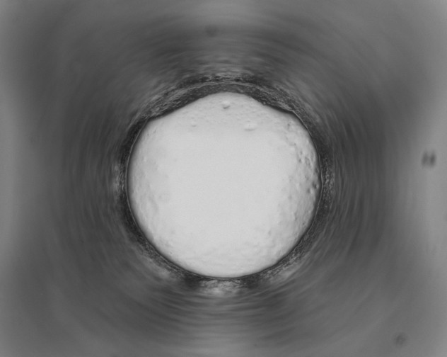 X0000095510135200801111422