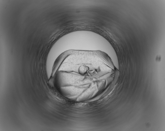 X0000095510136200801111422