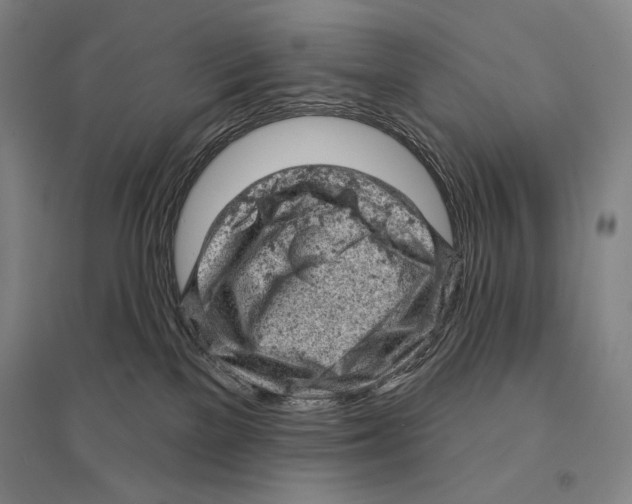 X0000095510137200801111422
