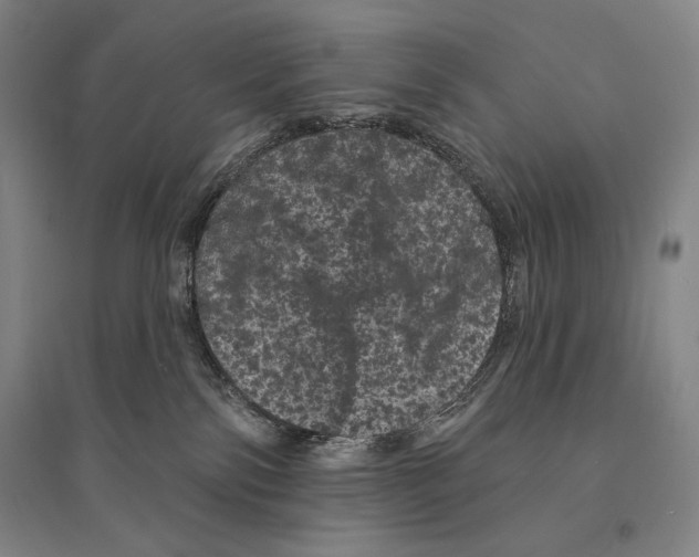 X0000095510138200801111422