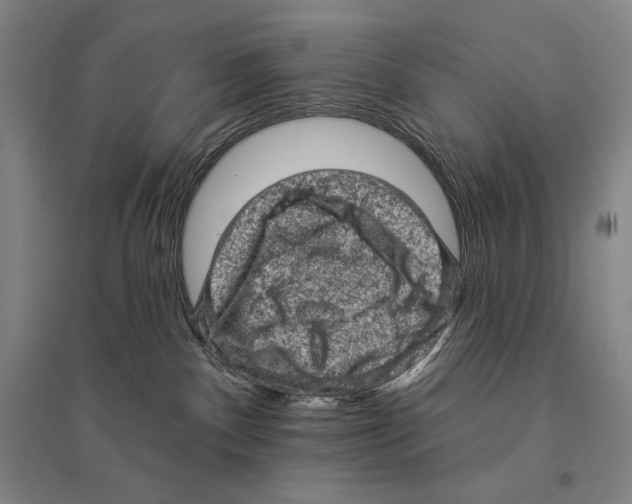 X0000095510140200801111422