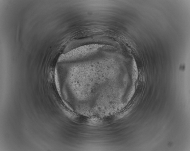 X0000095510141200801111422