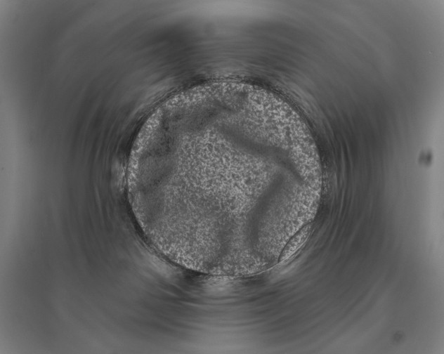 X0000095510142200801111422