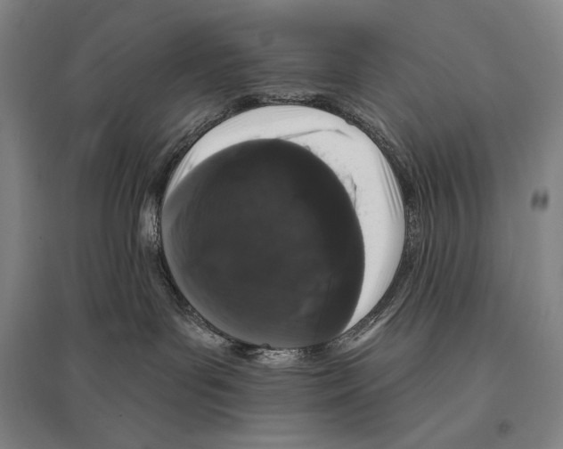 X0000095510143200801111422