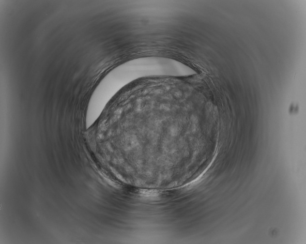 X0000095510144200801111421