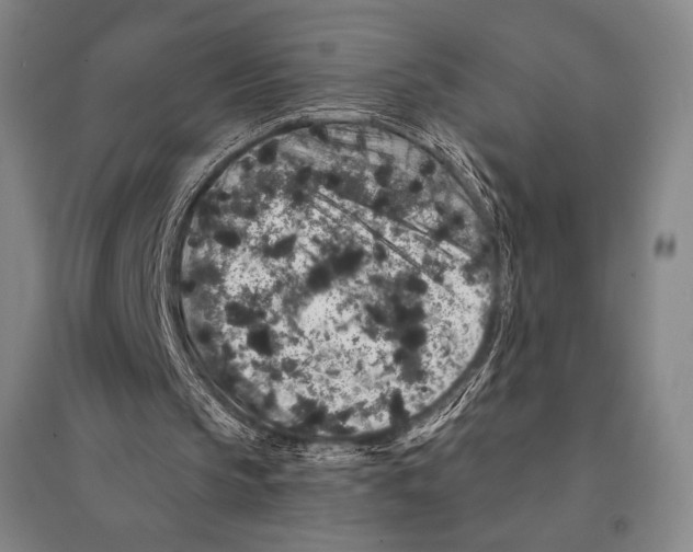X0000095510145200801111421