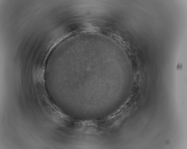 X0000095510146200801111421