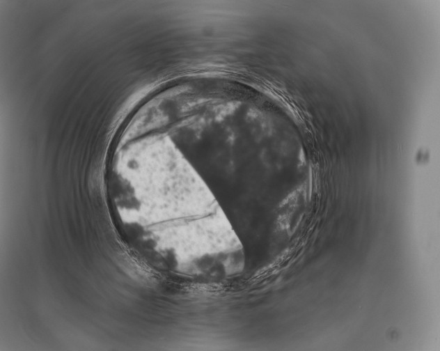 X0000095510147200801111421