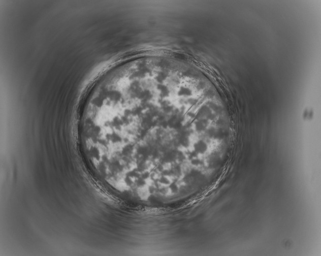 X0000095510149200801111421