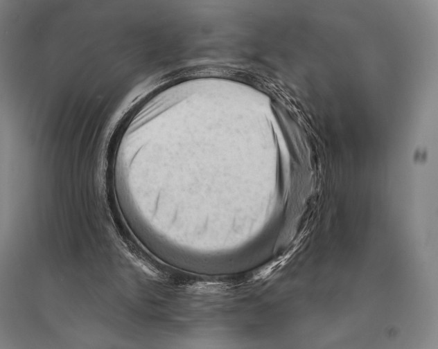 X0000095510150200801111421