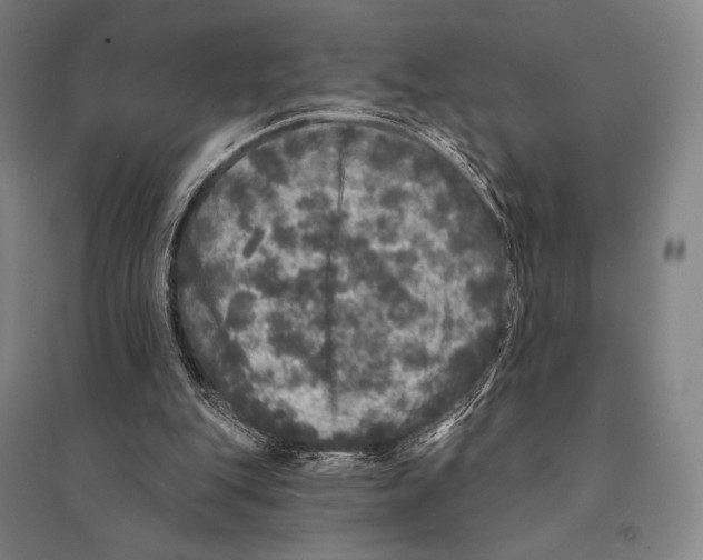 X0000095510151200801111421