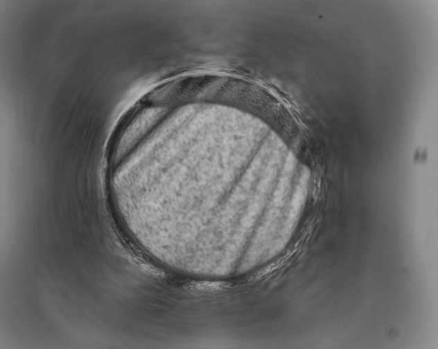 X0000095510152200801111421