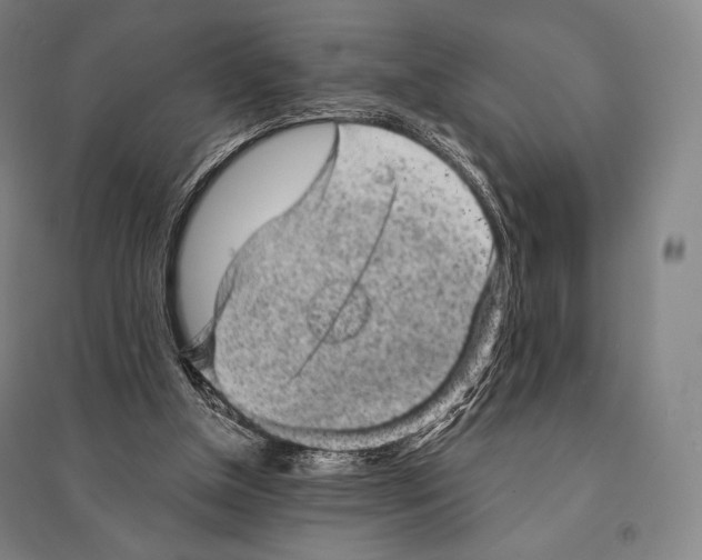 X0000095510154200801111421