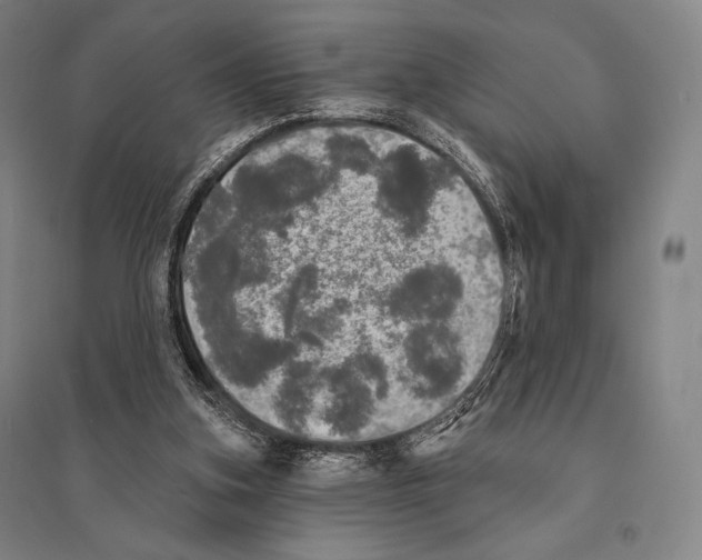 X0000095510155200801111421